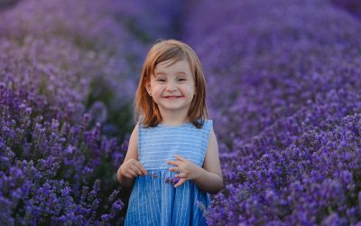 Clara in lanul de lavanda