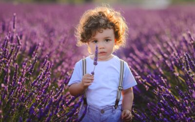 Andrei in lanul de lavanda